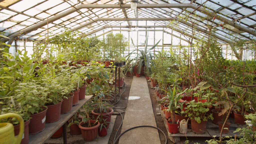 kas met planten